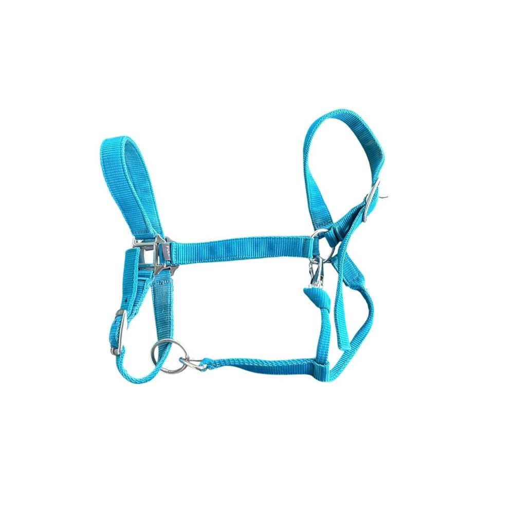 Horse Halter Full Size Turquoise Blue Adjustable Nylon Silver Hardware Unbranded